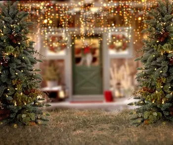 Рождественская елка световая дверь Праздничный открытый прибрежный фон патио Компьютерная печать фото фон для вечеринки